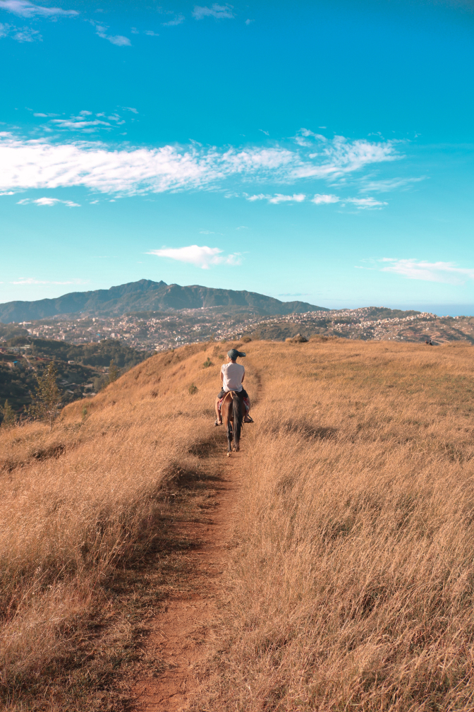 horseback riding in the pathway