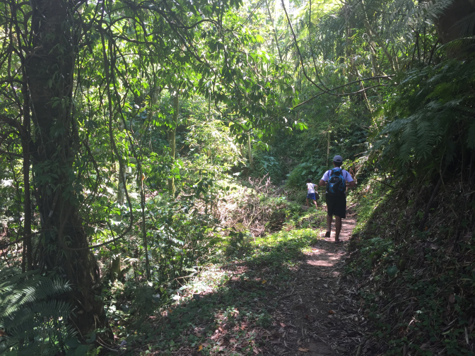  Kilangin falls trail