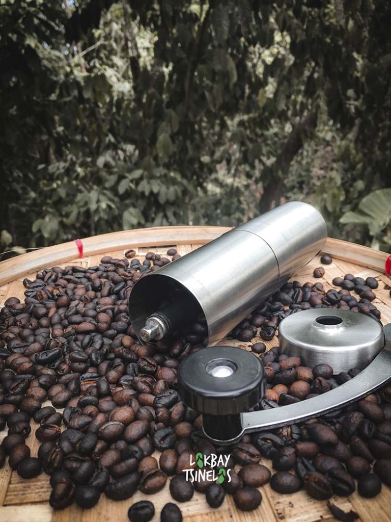 roasted coffee beans and a coffee grinder
