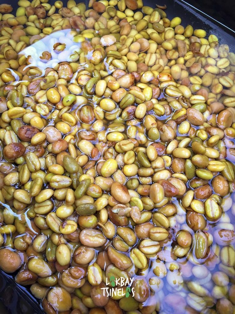 extracted beans soaked in water