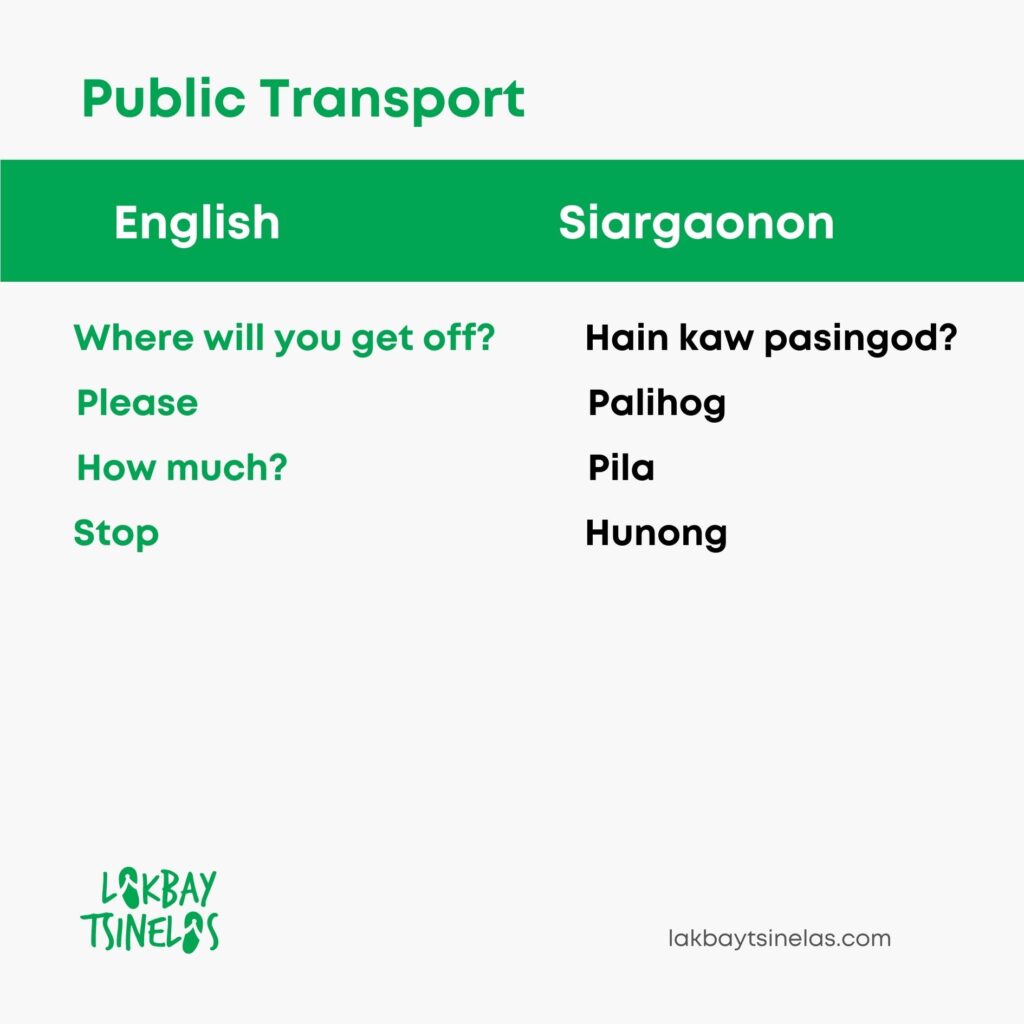 23 helpful siargaonon phrases public transport